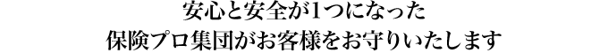 安心と安全が1つになった保険プロ集団がお客様をお守りいたします