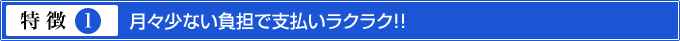 特徴1.月々少ない負担で支払いラクラク!!